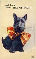 Picture of Novelty Card 1953